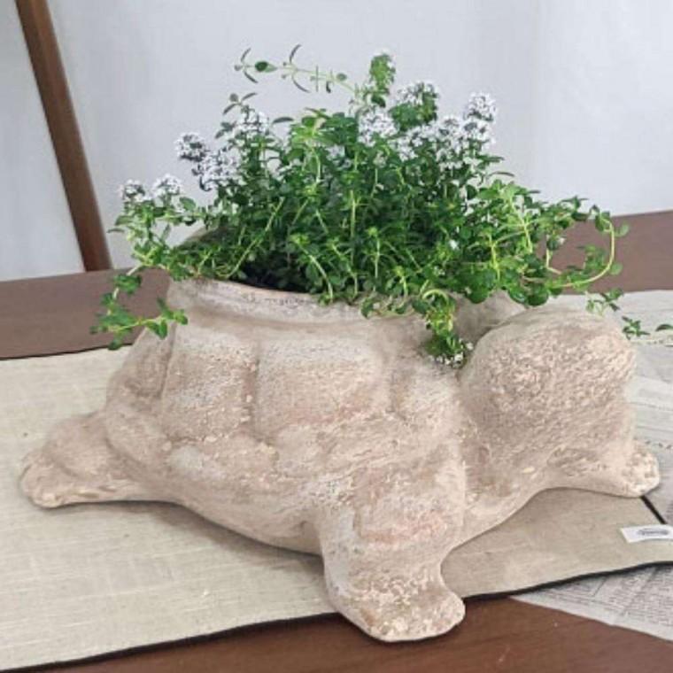 동물 토분 거북이화분 테라코타화분 흙화분 예쁜화분 토기화분