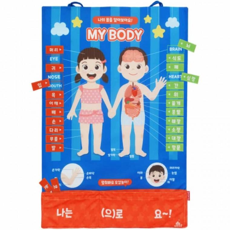 차트 소중한나의몸배우기 신체학습 신체놀이 신체기관공부 인체공부 영아신체놀이 유아학습벽보 내몸공부