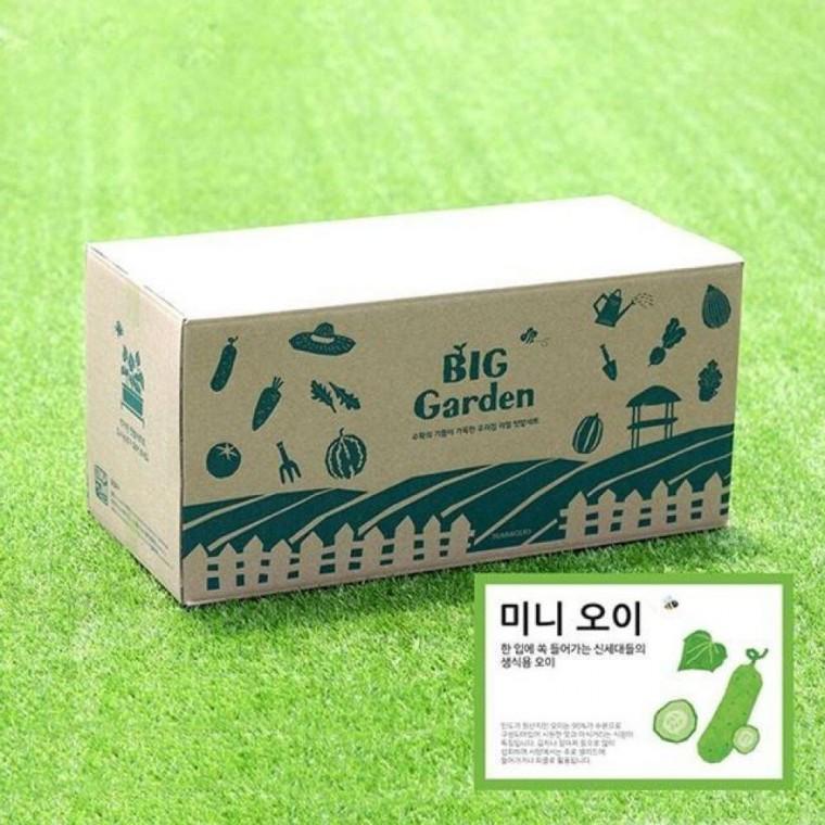 베란다 텃밭 도시 농부 저면 관수 화분 빅가든 미니 오이 채소밭 재배 정원 아파트 옥상