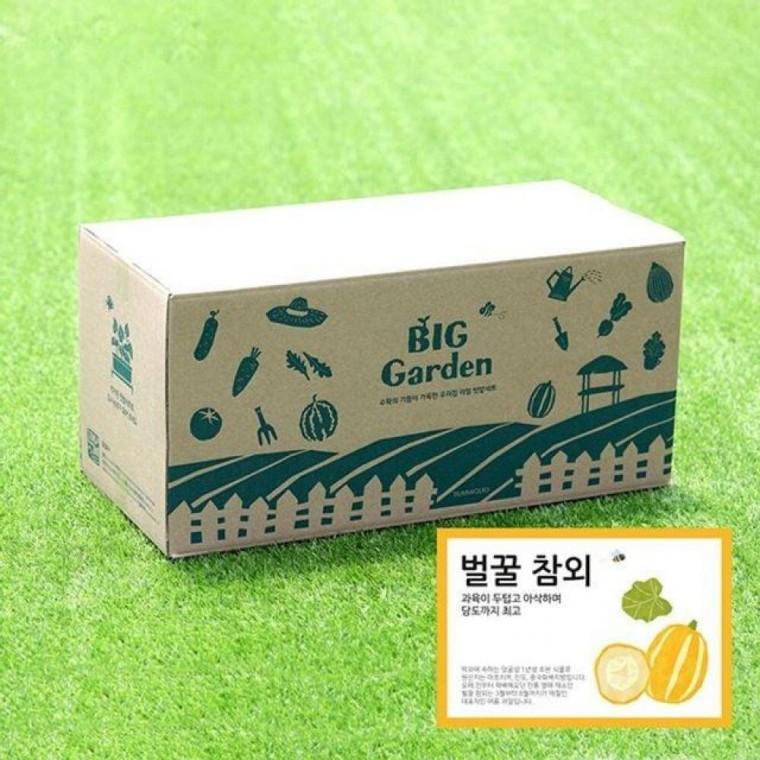 베란다 텃밭 도시 농부 저면 관수 화분 빅가든 참외 채소밭 재배 미니 정원 아파트 옥상
