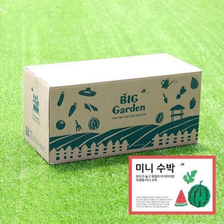 베란다 텃밭 도시 농부 저면 관수 화분 빅가든 미니 수박 채소밭 재배 정원 아파트 옥상