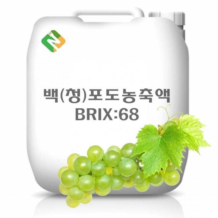 백 청포도농축액 25kg
