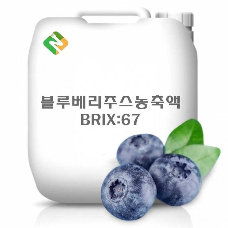 블루베리주스농축액 67Brix 25kg