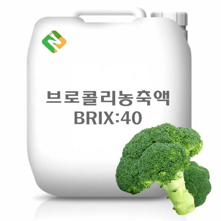 브로콜리농축액 20kg