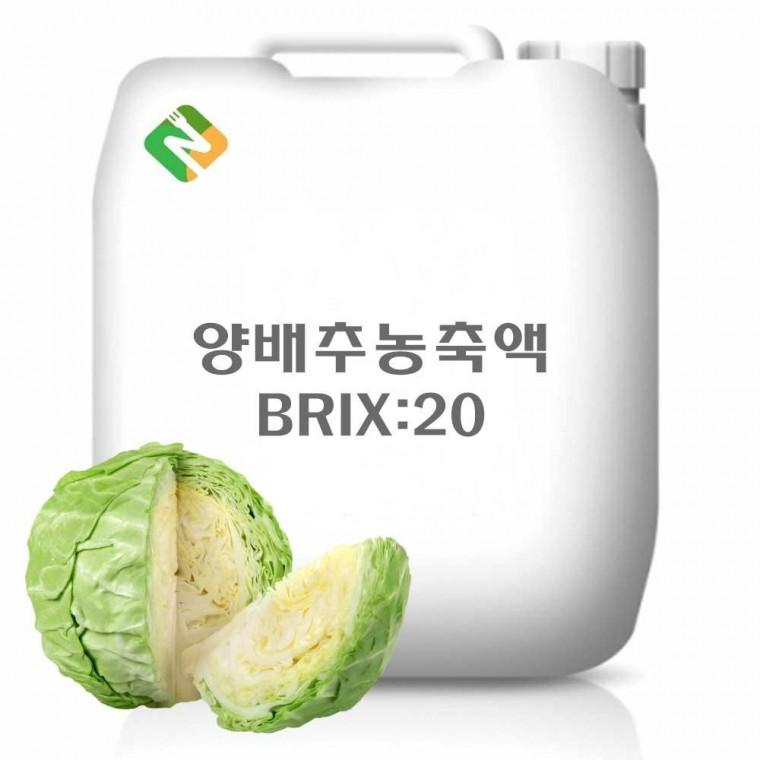 양배추농축액 20kg