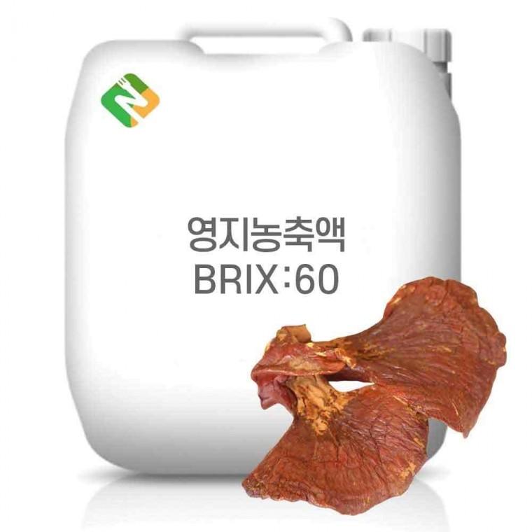 영지농축액 60Brix 10kg
