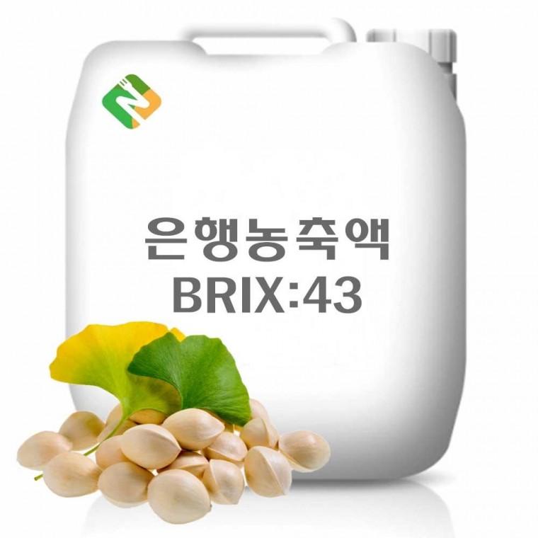 은행농축액 43Brix 20kg