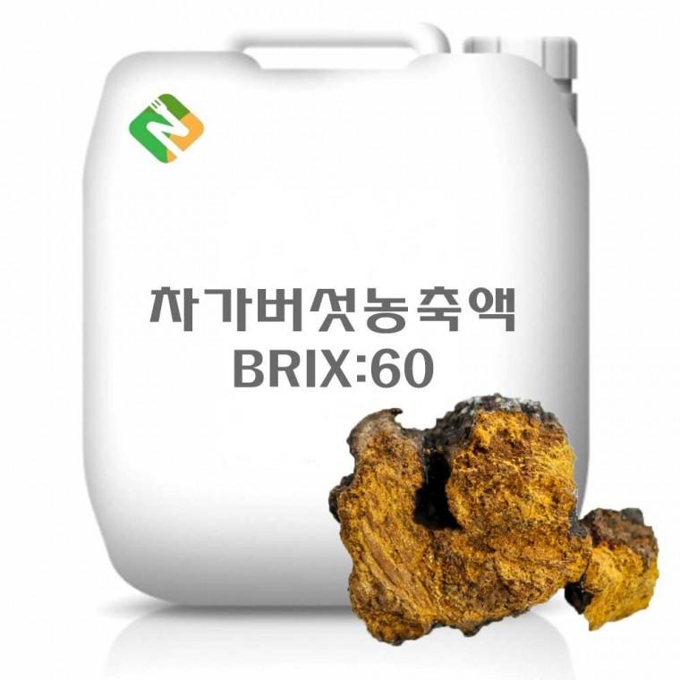 차가버섯농축액 20kg