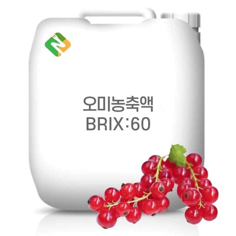 오미자농축액 60Brix 20kg