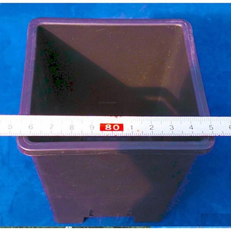 검정플분 2호 10cm 화분 1box (200개)