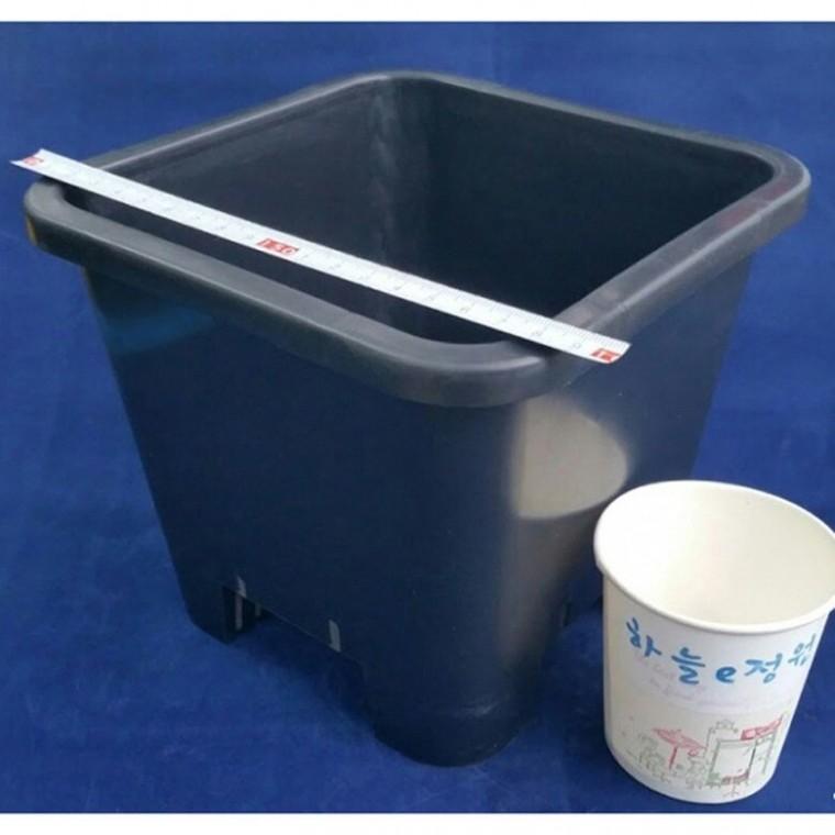 검정플분 5호 18cm 화분 1box (100개)