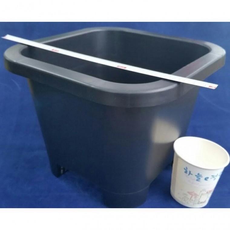 검정플분 6호 23cm 화분 1box (50개)