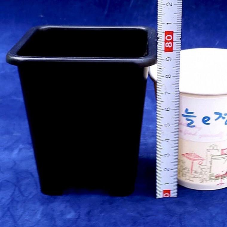 검정플분 1.5호 8.5cm 화분 1box (350개)