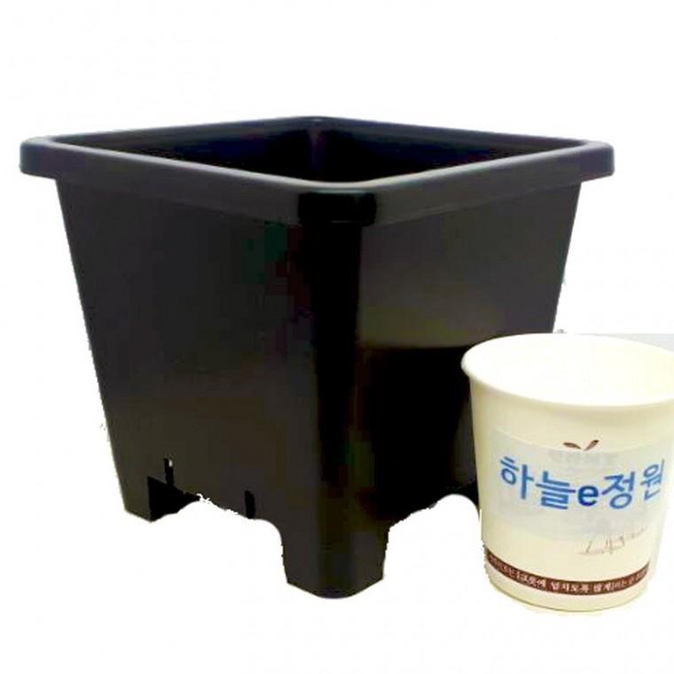 검정플분 3호 12cm 화분 1box (150개)