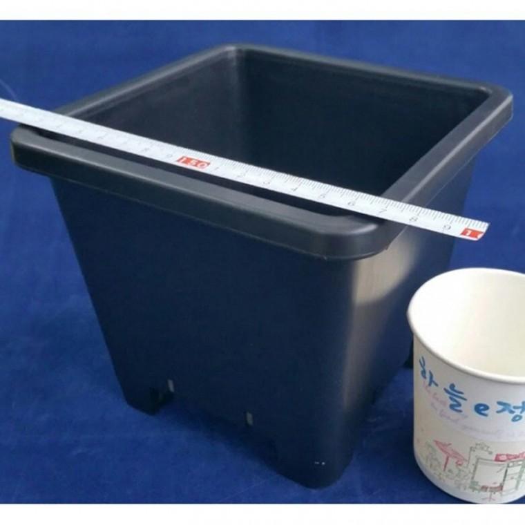 검정플분 4호 15cm 화분 1box (120개)