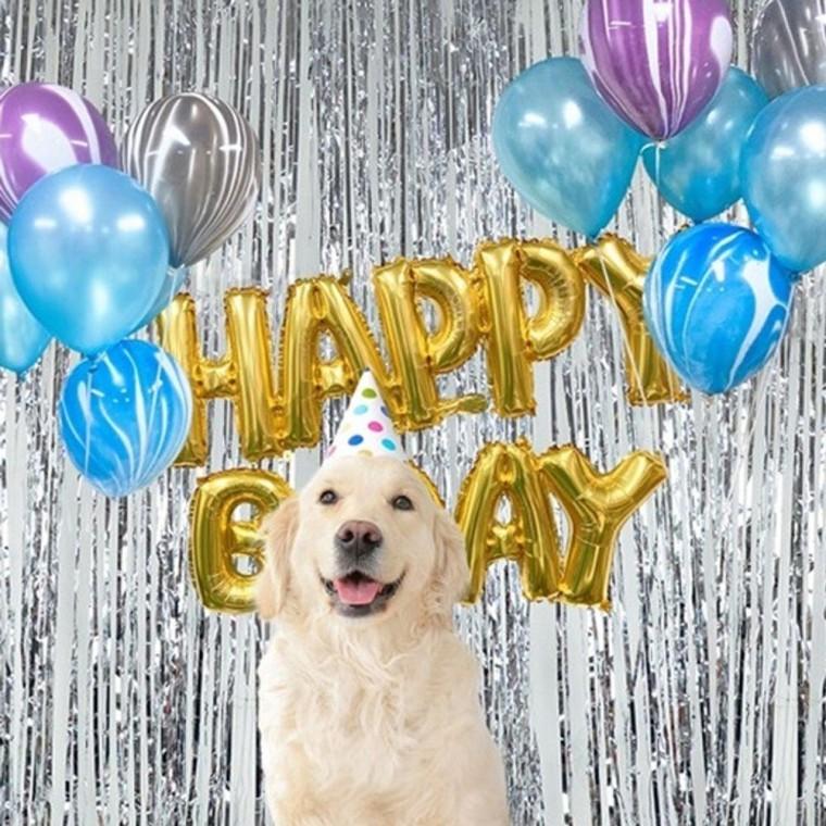 강아지 생일 파티 풍선 세트 커튼형 1P 이벤트 장식