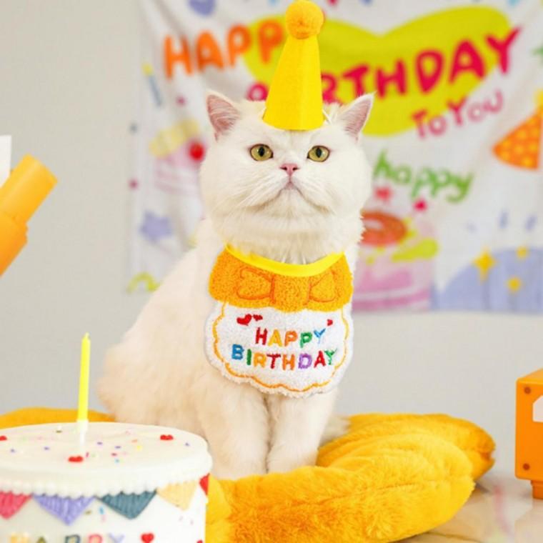 강아지 고양이 생일파티 케이프 모자 세트 반려동물 파티 용품