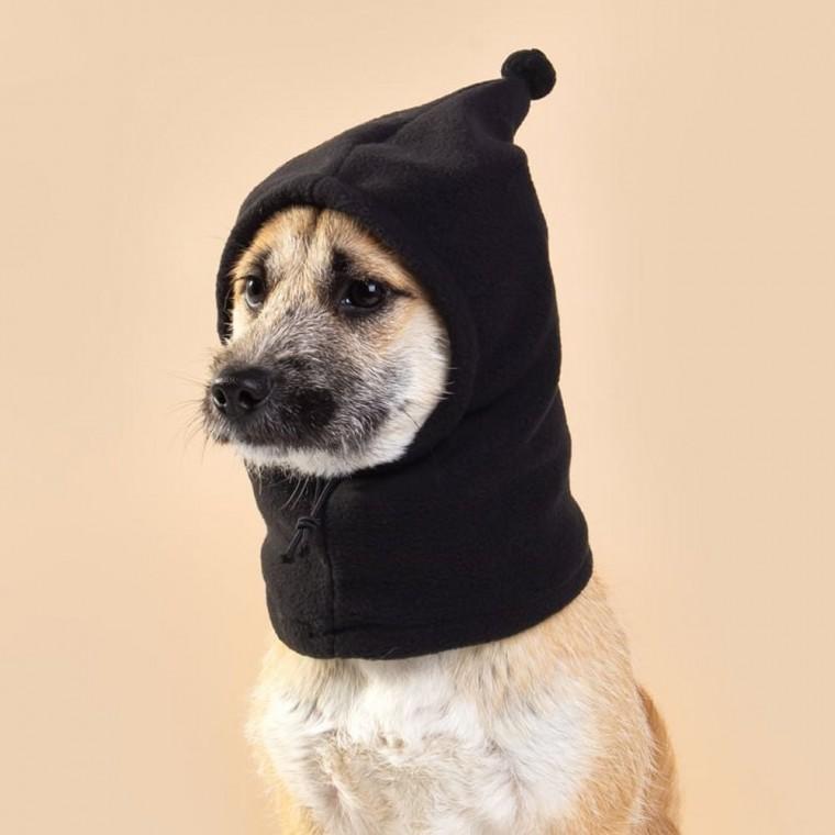 YJR 강아지 고양이 코스튬 모자 할로원 해피파티 펫 이벤트 장식품