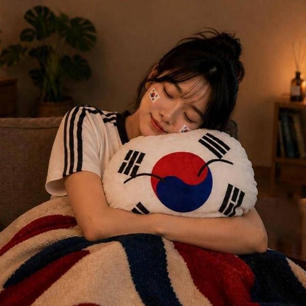 대한민국 응원 굿즈 태극 미니 쿠션 홈직관 소품 거실