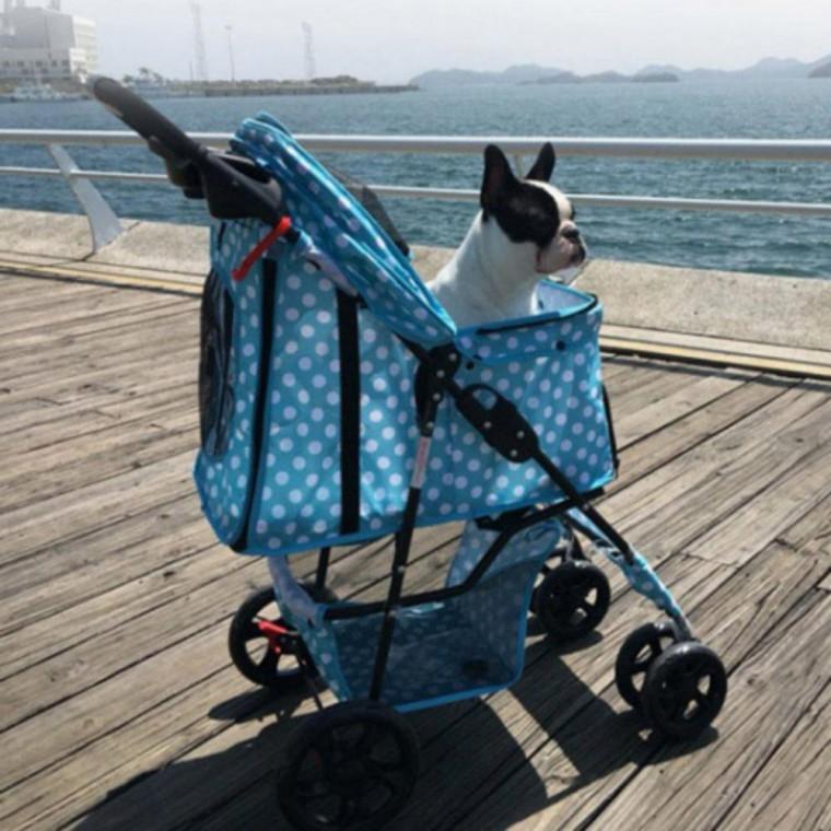 강아지 고양이 개모차 4륜 애견 폴딩 캐리어 유모차