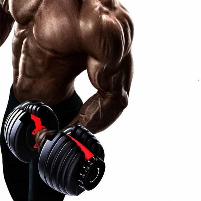 아령세트 뎀벨 웨이트운동 무게조절 덤벨 2.5kg-24kg