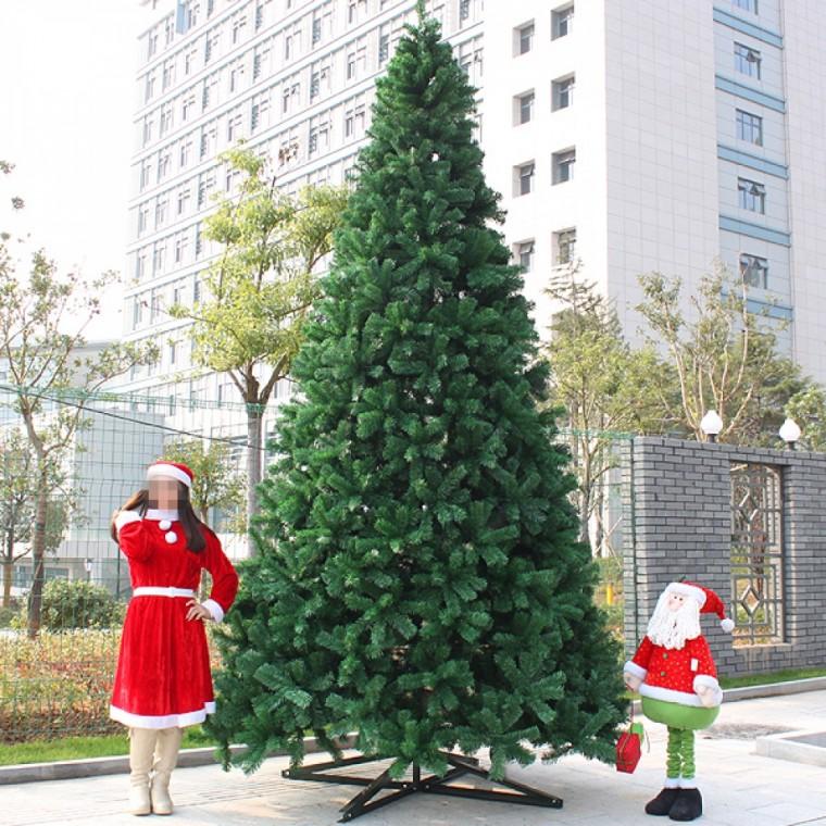 투데이쿡 이지 성탄트리
