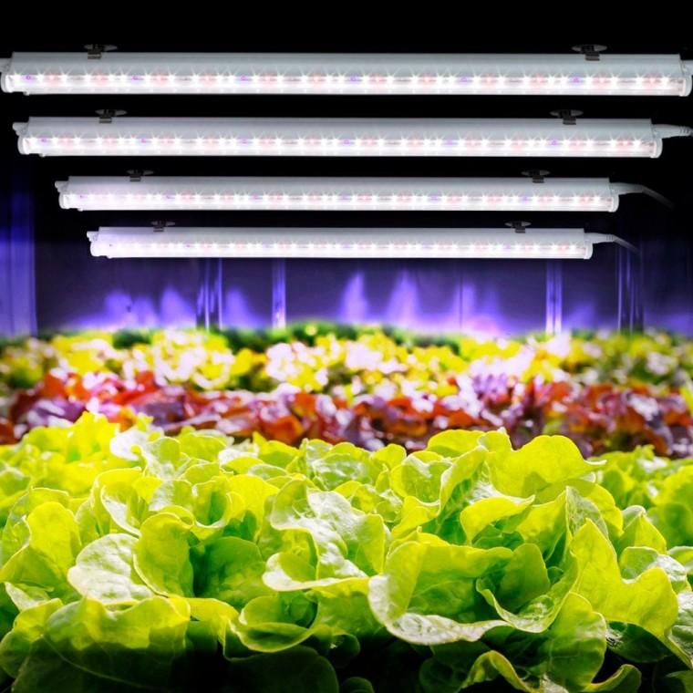 국내산 LED 식물 재배등 4개 풀세트 실내용 인공조명 국내산 LED 식물