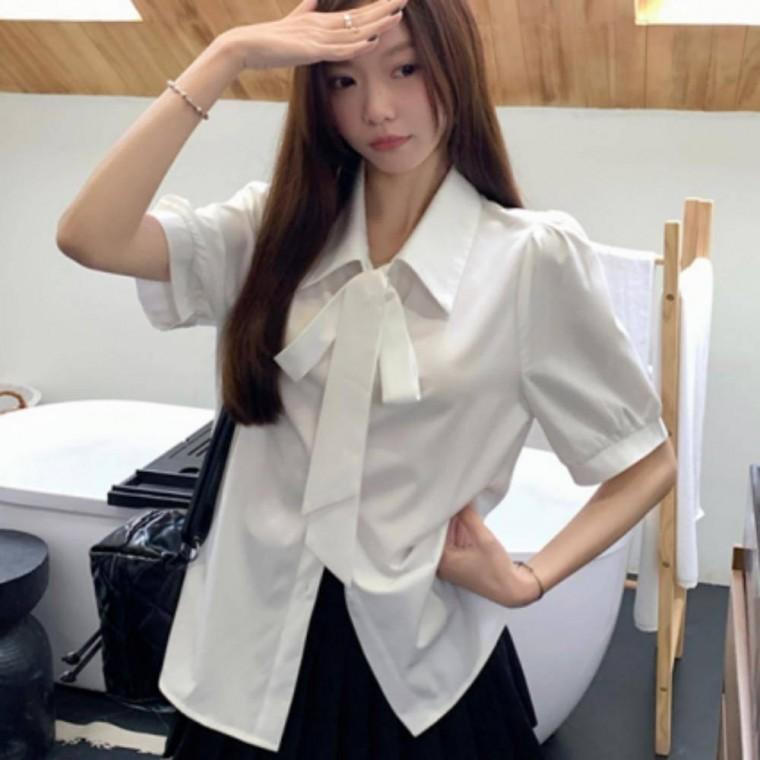 데일리 리본카라 반팔 블라우스 시원한 여름 포인트 셔츠 상의