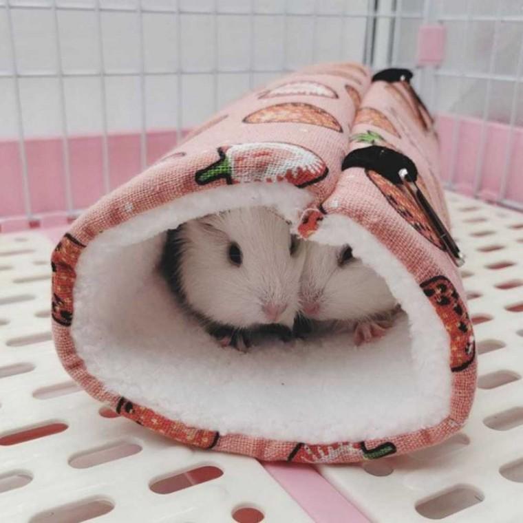 햄스터 주머니 2개 햄스터집 소동물집 다람쥐하우스