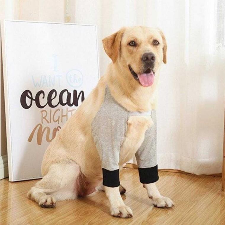 강아지 무릎보호대 강아지관절보호대 슬개골보호대 슬개골탈구보호대
