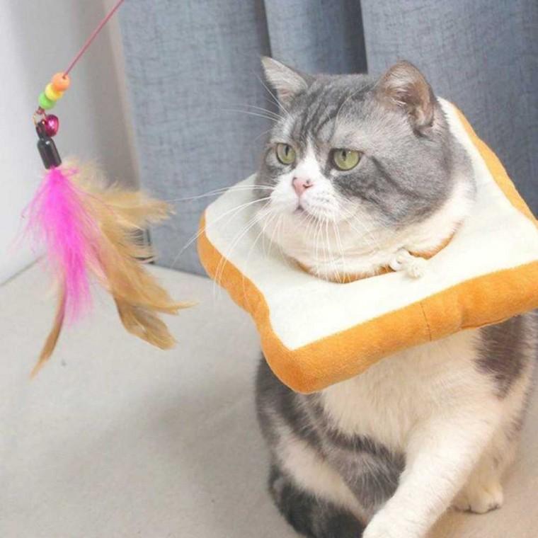 강아지 목보호대 강아지넥쿠션 강아지깔대기