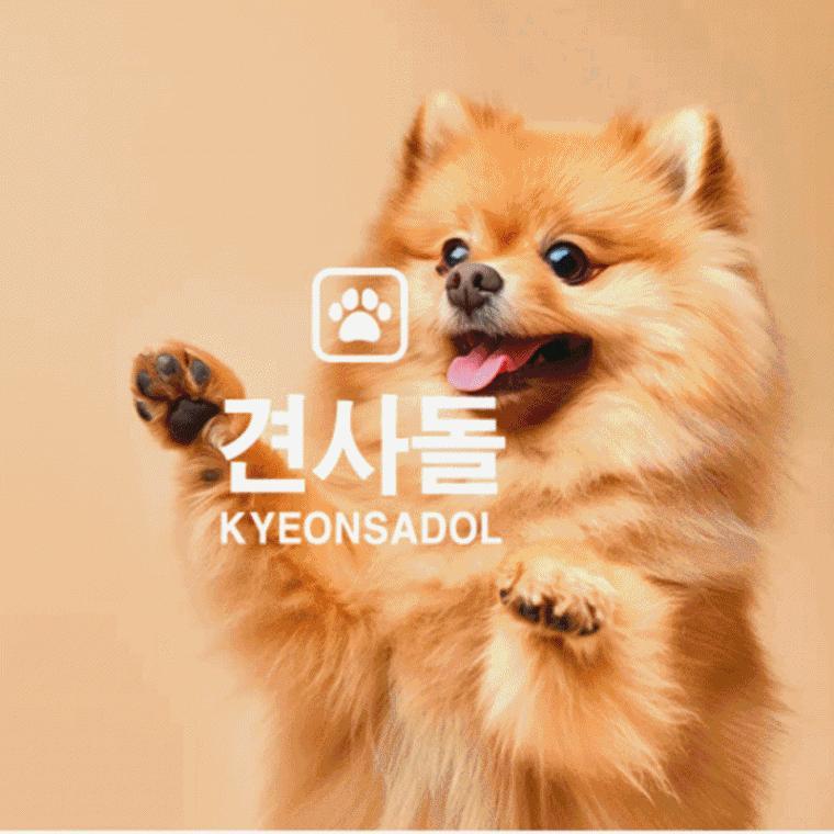 반려견 영양제 견사돌 유니버스 7종 기능성 올인원 12g*30포 pet supplement
