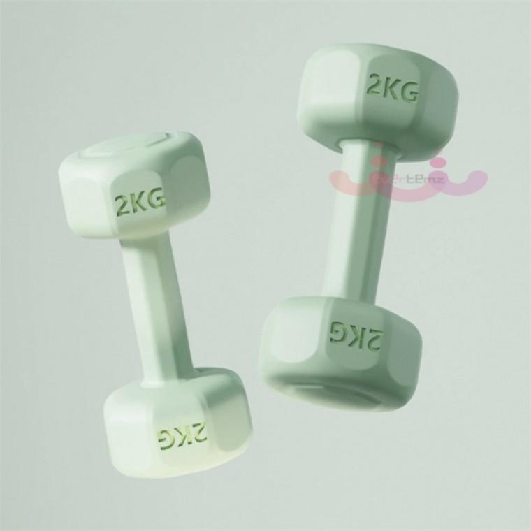 홈트 육각덤벨 2P 2kg 그린 홈트덤벨 헬스용품 미용아령