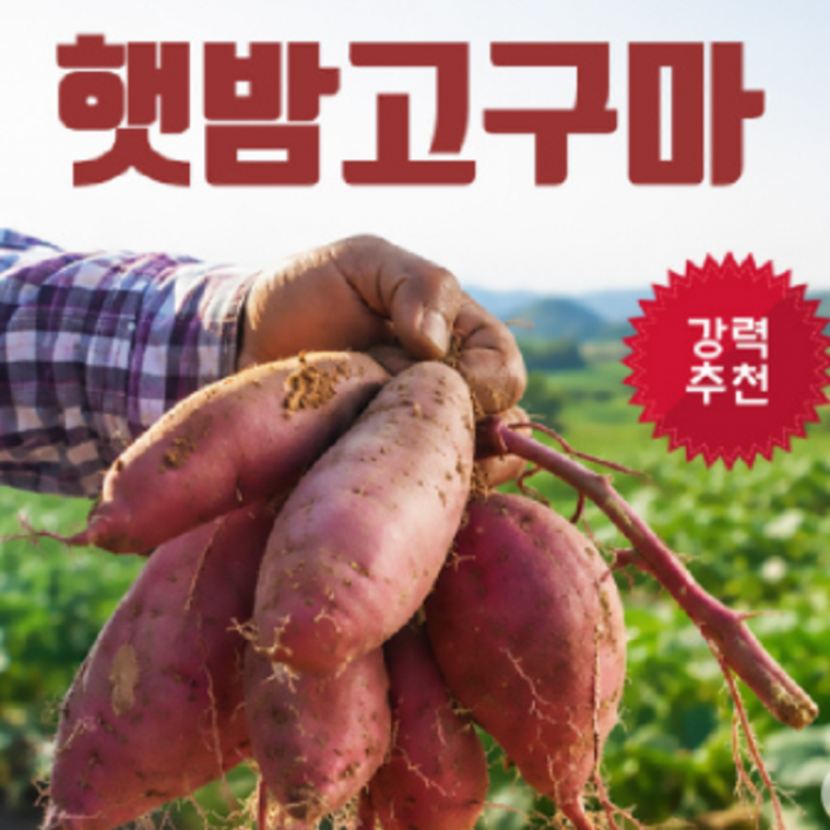 김제 햇 꿀고구마 3kg