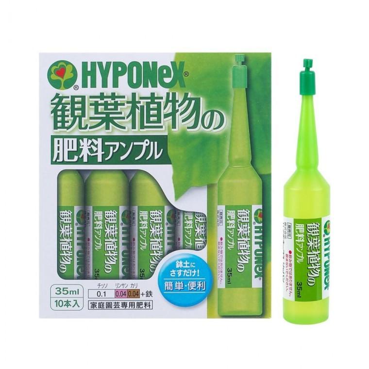 루미나D 하이포넥스 식물 영양제 앰플 35ml 10개입 화분 식물 키우기