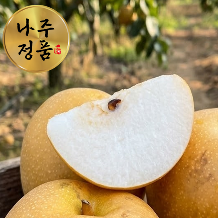 국내산 나주 신고배 5kg