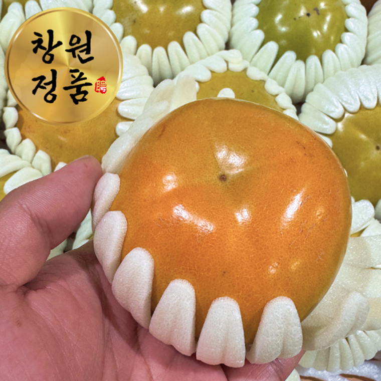 국내산 창원 태추단감 5kg 특대과