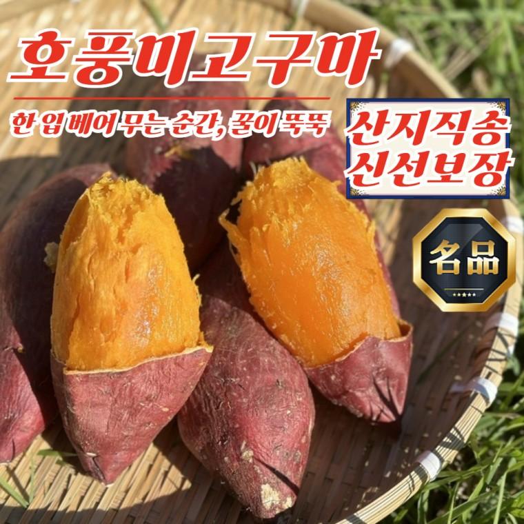 산지직송 황금빛 호풍미 꿀호박고구마 10kg