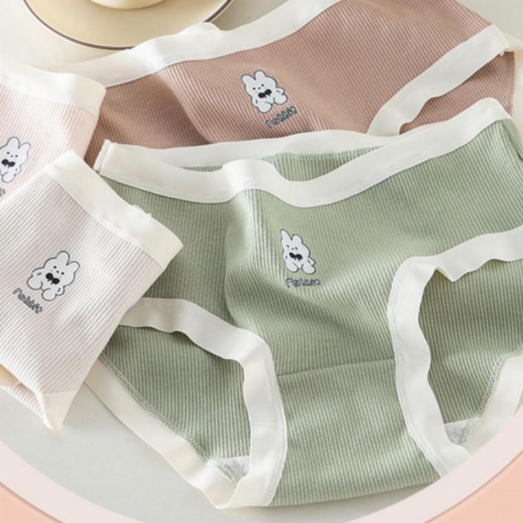 팬티 래빗 6종 무봉제 면 여성 심리스 코튼 팬티 세트
