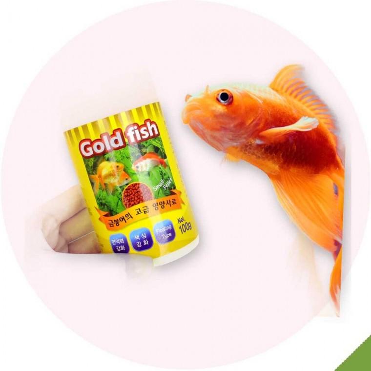 관상어용 골드피쉬 사료 100g 하트유통