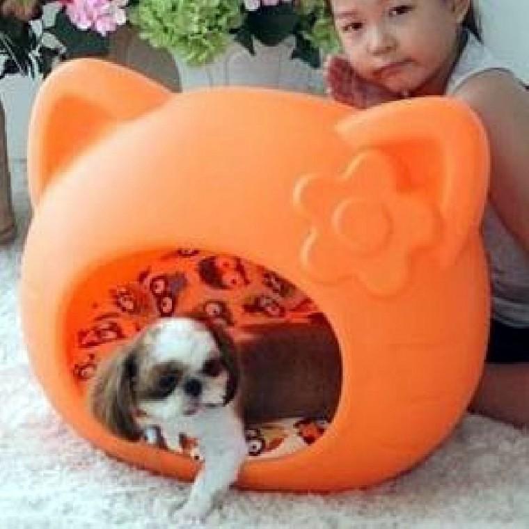 강아지 집 오렌지 애견하우스 오렌지펫하우스 반려견집