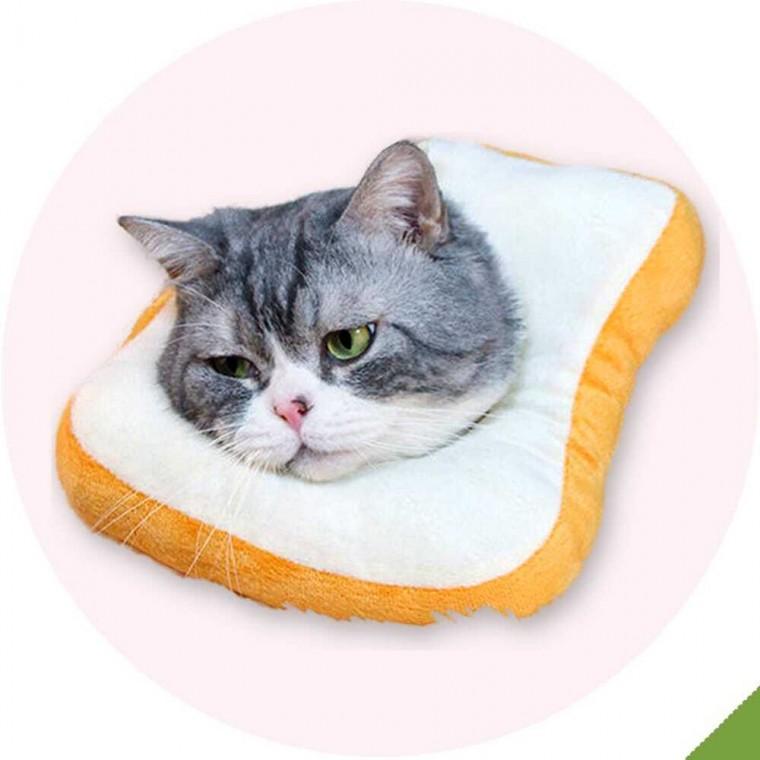 반려동물 콘 칼라 하트유통