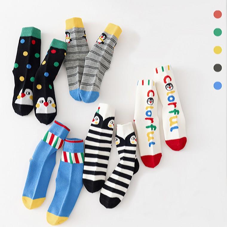 준캡 유아 아동양말 꼬깔펭귄 중목 면 5족 양말세트