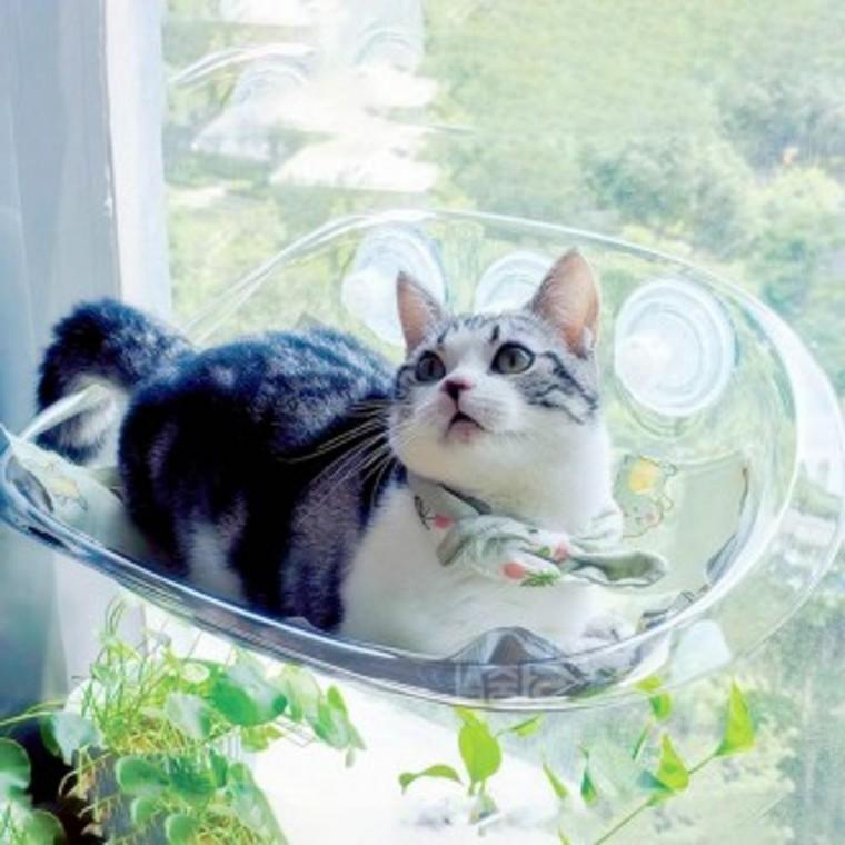 창문해먹 고양이 숨숨집 휴식 낮잠 투명 캣타워 냥이 고양이 안식처