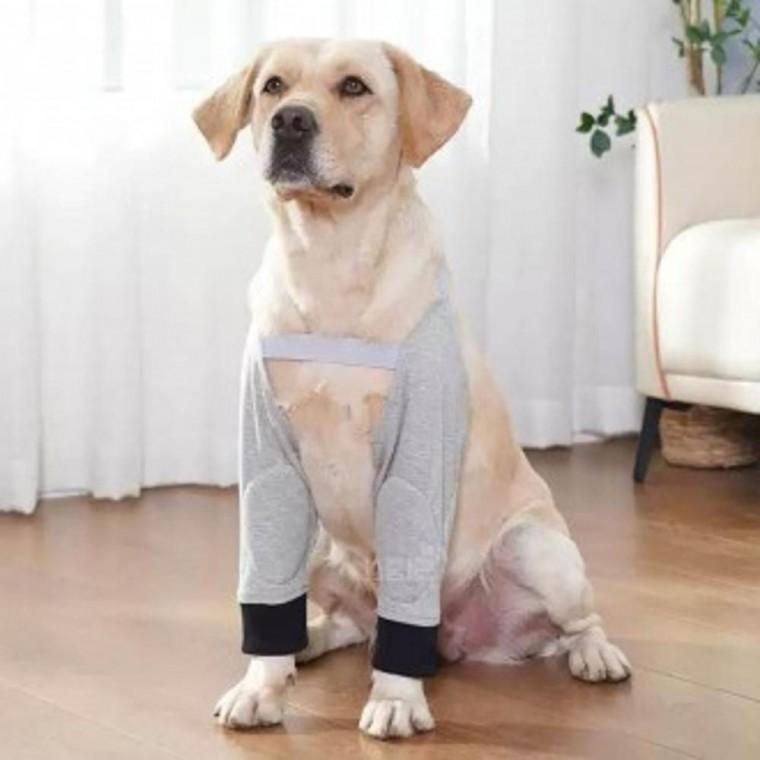 반려동물 강아지 관절 무릎보호대 보호 무릎 강아지 관절 반려동물 용품