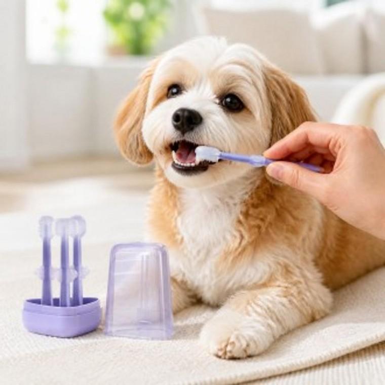 3종 강아지 반려동물 소형견 어금니 혀클리너 고양이 칫솔 양치 세트 치석