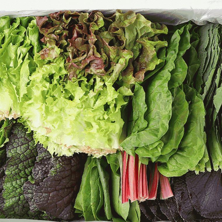 쌈 채소 유기농 샐러드 모듬 저탄 소 인증 1kg wraps vegetable