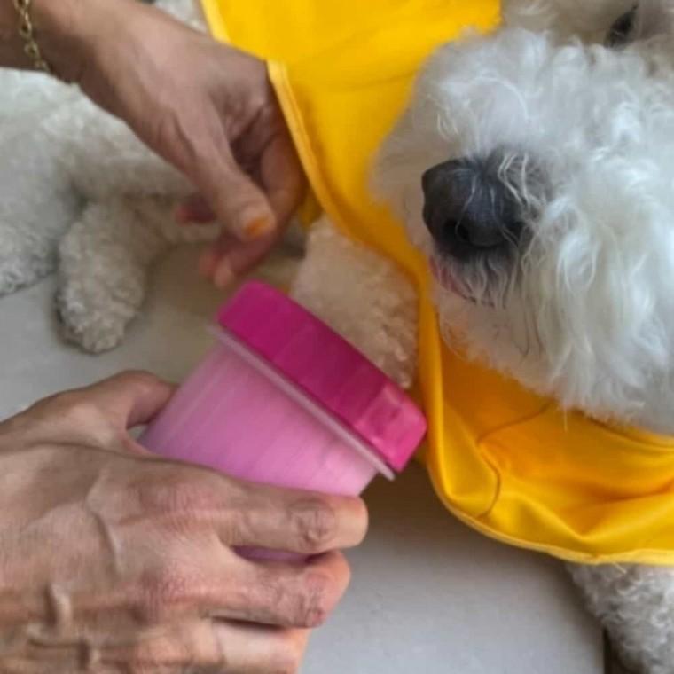 강아지 발세척기 소형 강아지산책발 반려동물발세척기 강아지발닦기