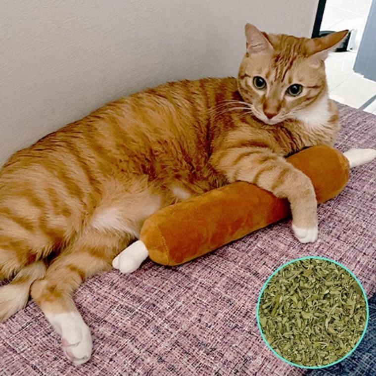 고양이 캣닢 봉제 인형 롱바베큐 1P 애착 장난감 토이