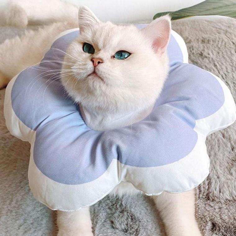 강아지 넥카라 애견 목보호대 깔대기 S